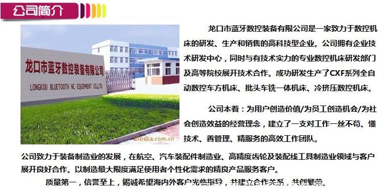 公司簡介